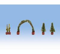 Noch 14022 Thuja (2) Rose And Rose Arch Ornamental Plants