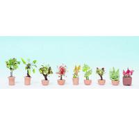 Noch 14082 Ornamental Plants in Tubs (9)