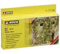 Noch 14132 Virginia Creeper Landscape Modelling