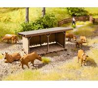 Noch Cattle Shelter