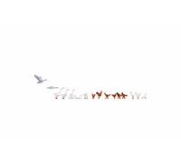 NOCH® Chickens And Geese, Figure Set, 18-Piece For The H0 Scale, Ideal For