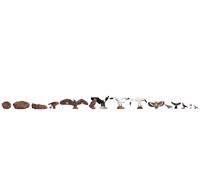 Noch 15775 Birds Landscape Modelling