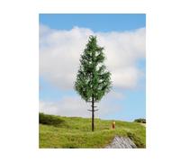 Noch 20196 High Trunk Spruce Master Tree 21cm