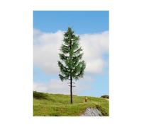 NOCH® High trunk spruce, perfect spruce tree model making, 23 cm high for track widths H0, TT, N, Z, also ideal for dioramas and model railways