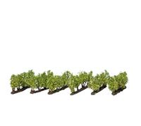 Noch 21545 Vines Landscape Modelling