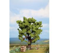 Noch 21760 Oak Landscape Modelling