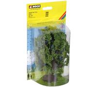 Noch 21760 Oak Landscape Modelling