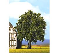 Noch 21760 Oak Landscape Modelling