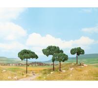 Noch 21992 Stone Pine Trees (2)