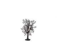 Noch 22010 Tree Structure Beech Landscape Modelling