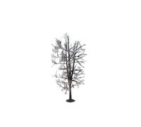 Noch 22020 Tree Structure Lime Landscape Modelling