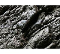 Gauge: G, 0, H0, TT, N, Z