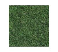 NOCH Light Green Wild Grass 6mm (50g) HO Gauge Scenics 07102