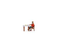 Noch Lunch (Woman) Tiny Scenes Set 16513 HO Gauge