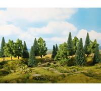Mixed Forest