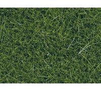 NOCH N7120 Still Wild Grass, Green