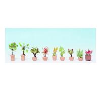 NOCH Ornamental Plants in Tubs (9) HO Gauge Scenics 14082