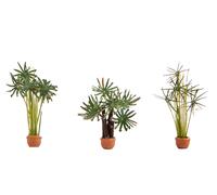 NOCH Palms (3) Ornamental Plants HO Gauge Scenics 14024