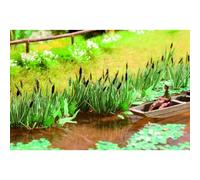 NOCH Reeds (16) Laser Cut Minis Kit N Gauge Scenics 14608