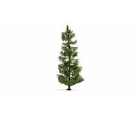 NOCH® Spruce Realistic Model Tree, 19 cm High for Model Railway Track Gauges H0, TT, N, Z, Ideal for Dioramas and Model Landscapes as well as for Crafts, Decorating and DIY