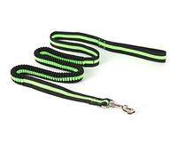 Noctilucent Elastic Adjustable Retractable Dog Lead Rope Shock Absorbing Running Leash Restraints for Pet Vest Training Walking Jogging with Bungee Buffer Nylon Fabric Metal Hook