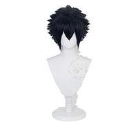 Noctis Cosplay Final Fantasy Cosplay Men Short Dark Blue Wig Cosplay Anime Cosplay Wig Heat Resistant Synthetic Wigs