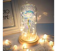NOE TKLake Rose Flower Gift - Beauty and The Beast Rose with Led Light in Glass Dome on Wooden Base Gift for Her Wife Christmas, Valentine's Day, Mother's Day, Wedding Anniversary (Warm White)