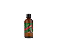 Absolute Aromas Noel Festive Essential Oil with Cinnamon, Clove, Frankincense, Orange, Myrrh and Pine Oil - Great for diffusing at Christmas (100ml)