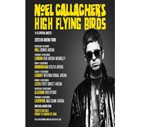 Noel Gallagher High Flying Birds UK TOUR 2023 A3 Print Poster Wall Art Album Decor Vinyl Living Room Bedroom Office