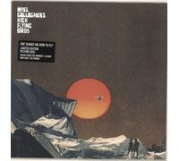 Noel Gallagher She Taught Me How To Fly - Sealed UK 12" vinyl picture disc record JDNC31T Sour Mash 2018