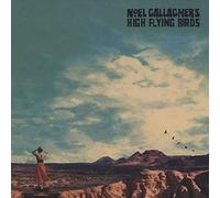 Noel Gallagher's High Flying Birds - Who Built The Moon (LP) [VINYL]