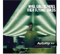 NOEL GALLAGHER'S HIGH FLYI-NOEL GALLAGHER'S HIGH FLYI
