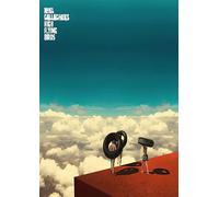 Noel Gallagher's High Flying Birds A3 Print Poster Wall Art Decor