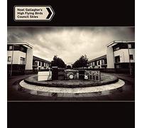 Noel Gallagher's High Flying Birds - Council Skies - Vinyl + Seven Inch