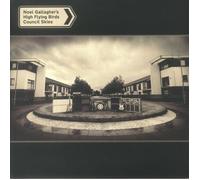 Noel Gallagher's High Flying Birds - Council Skies - Vinyl + Seven Inch