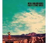 NOEL GALLAGHER LP Who Built The Moon? BLACK VINYL Gatefold + Promo Sht OASIS New