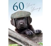 Noel Tatt - 60th Male Birthday Card - 60 Years Young Puppy Wearing Flat Cap - For Him, 172 x 125 mm