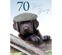 Noel Tatt - 70th Male Birthday Card - 70 Years Young Puppy Wearing Flat Cap - For Him
