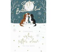 Noel Tatt Artistic Christmas Greeting Card - Sister and Brother-in-Law - Happy Spaniels Under The Moon - Gorgeous Illustration
