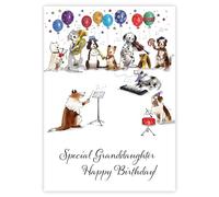 Noel Tatt Birthday Card for a Special Granddaughter, Musical Dogs Design | Animal Orchestra Party, Made in the UK