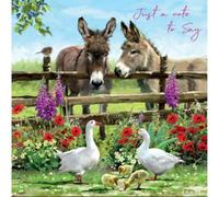 Noel Tatt Blank Notecards Pack of 6 - Cute Donkey Farmyard Animal Design -Blank Greeting Cards with Envelopes - 'Just a Note To Say'