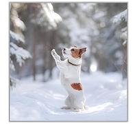 Noel Tatt Charity Christmas Card, Single - Christmas Cards with Jack Russell Dog Design - Eco-Friendly Xmas Cards with Envelope