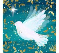 Noel Tatt Charity Christmas Cards Pack of 10 - Assorted Designs - 2 x 5 White Dove Designs - Religious Christmas Cards Multipack - In Aid of UK Charities