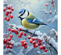 Noel Tatt Charity Christmas Cards Pack of 10 - Assorted Designs - 2 x 5 Winter Garden Birds and Berries Designs - Festive Christmas Cards Multipack - In Aid of UK Charities