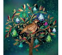 Noel Tatt Charity Christmas Cards Pack of 10 - Assorted Designs - 5 x 2 Vibrant Tree Designs - Festive Christmas Cards Multipack - In Aid of UK Charities