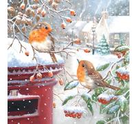 Noel Tatt Charity Christmas Cards Pack of 10 - Assorted Robin Designs by Richard Macneil - 2 x 5 Robins and Post Box Scenes - Festive Christmas Cards Multipack - In Aid of UK Charities
