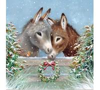 Noel Tatt Charity Christmas Cards Pack of 10 - Charity Christmas Cards with Artistic Snowy Donkeys and Robin Design - Eco-Friendly Xmas Cards Multipack with Envelopes