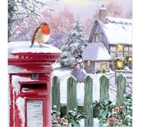 Noel Tatt Charity Christmas Cards Pack of 10 - Charity Christmas Cards with Robin and Snowy Cottage Design - Eco-Friendly Xmas Cards Multipack with Envelopes