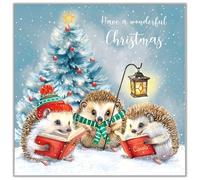 Noel Tatt Charity Christmas Cards Pack of 10 - Cute Hedegehogs Carol Singing - Festive Christmas Cards Multipack - In Aid of UK Charities