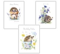 Noel Tatt Female Birthday Cards - Multipack of 3 - Assorted Cute Hedgehog Designs - Lovely Illustrated Greeting Cards with Envelopes - for Women, Girls, Kids & Adults